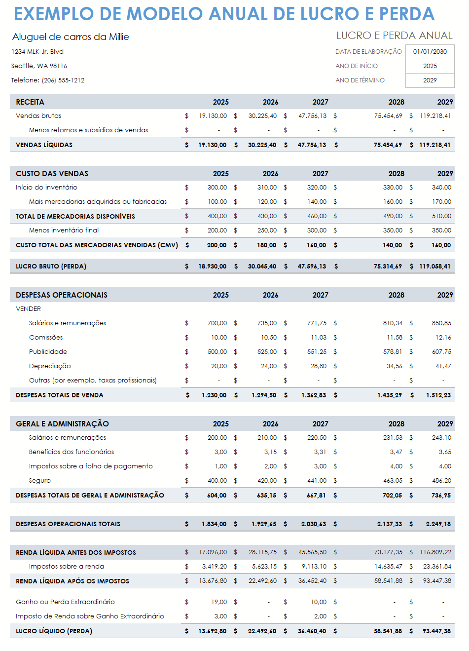 modelo de amostra de lucros e perdas anuais